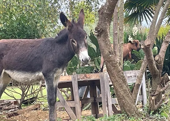 Chez Isa Et Geo Laguian-Mazous
