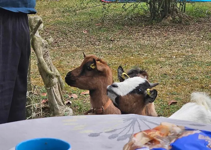 Chez Isa Et Geo Casa de hóspedes *