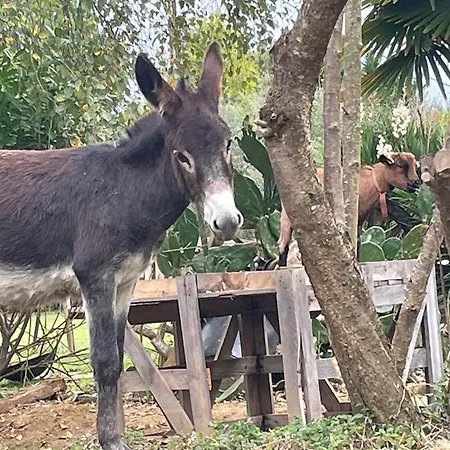 Chez Isa Et Geo Laguian-Mazous