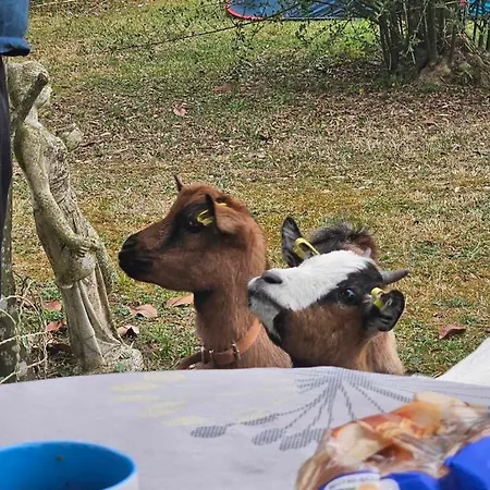 Chez Isa Et Geo Vendégház *