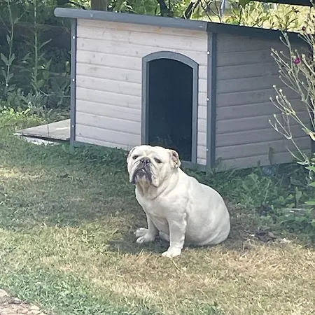 Chez Isa Et Geo Vendégház Laguian-Mazous