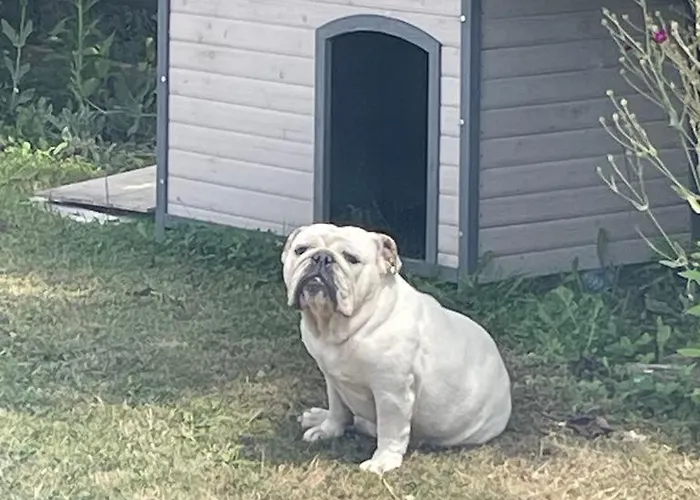 Chez Isa Et Geo Pensión Laguian-Mazous